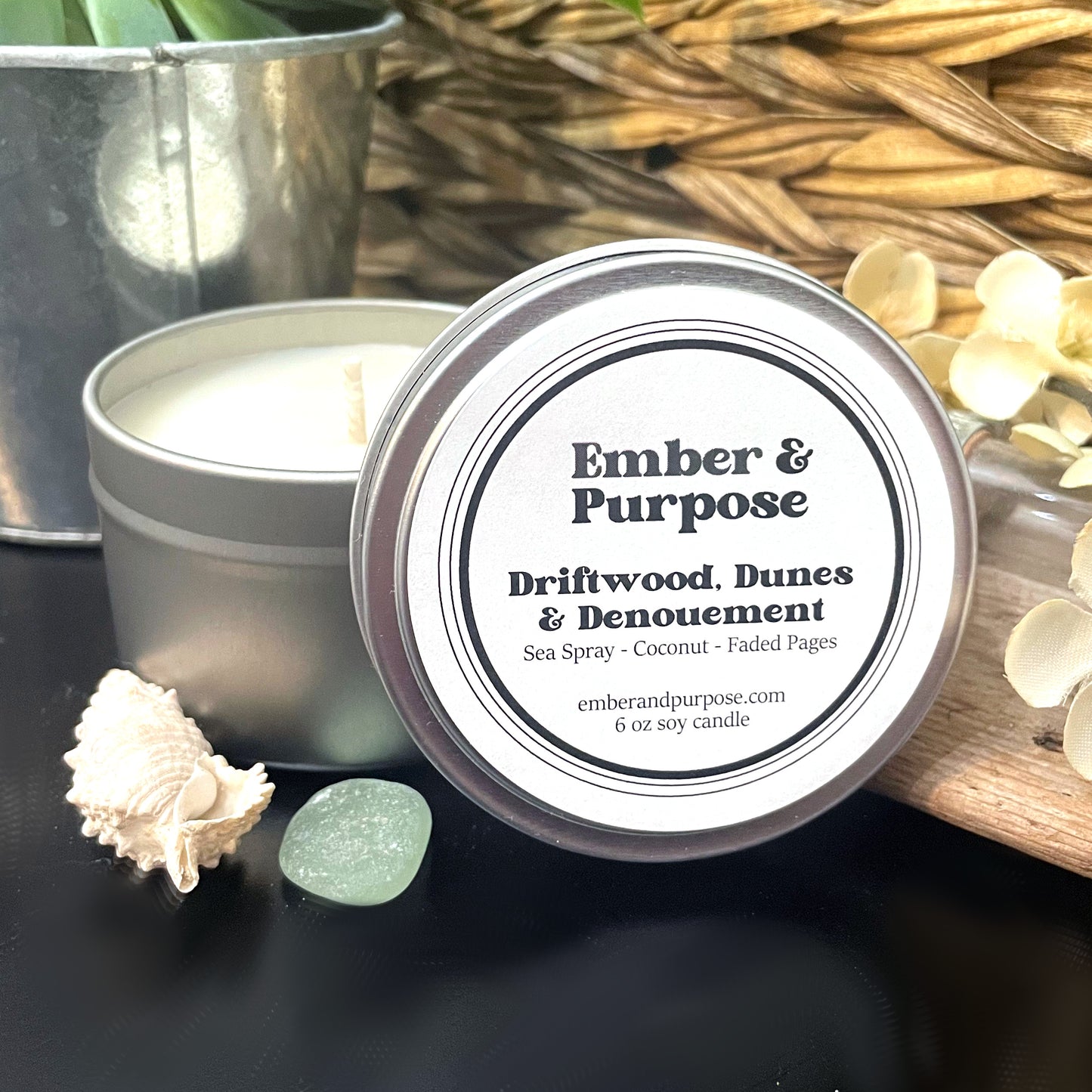 Driftwood, Dunes & Denouement